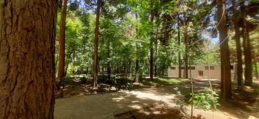 عکس باغ مزار شیخ جام