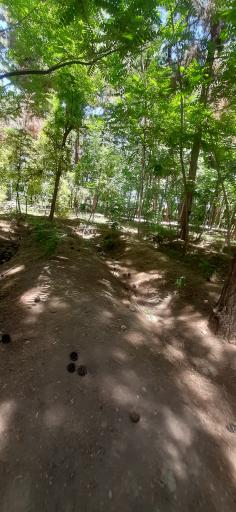 عکس باغ مزار شیخ جام