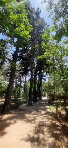 عکس باغ مزار شیخ جام