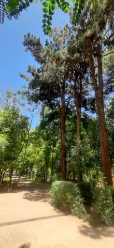 عکس باغ مزار شیخ جام