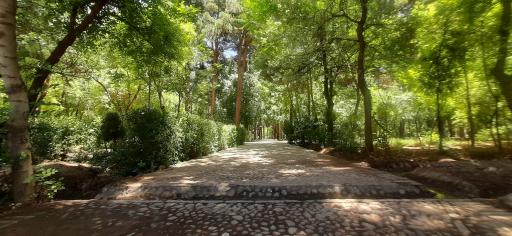 عکس باغ مزار شیخ جام