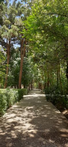 عکس باغ مزار شیخ جام