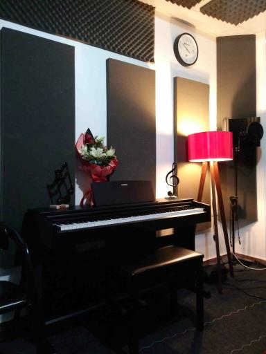عکس آموزشگاه موسیقی پیانُت