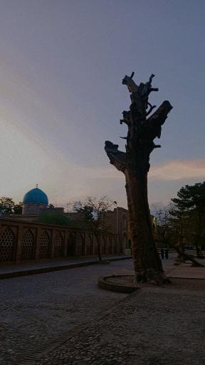 عکس باغ مزار شیخ جام