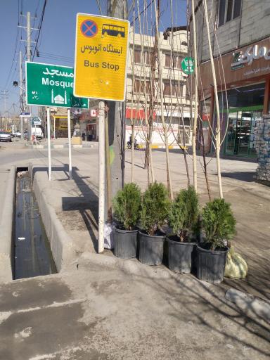 عکس  شهید علیزاده 2