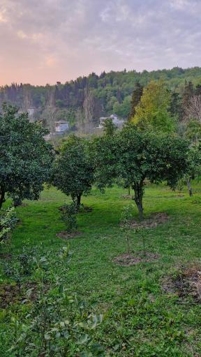 عکس مجموعه اقامتی بام هیرکانی