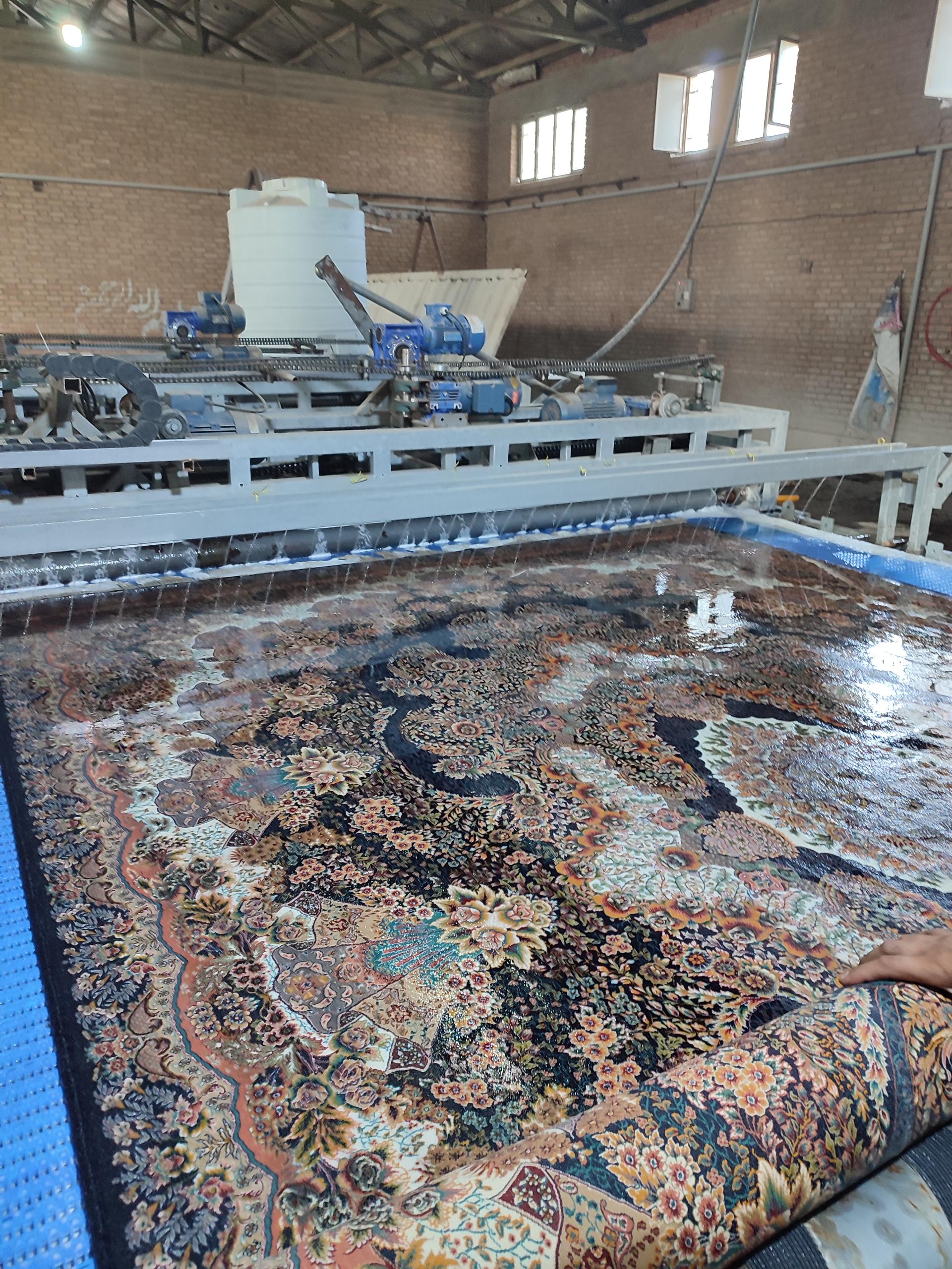 عکس قالیشویی پیشگام