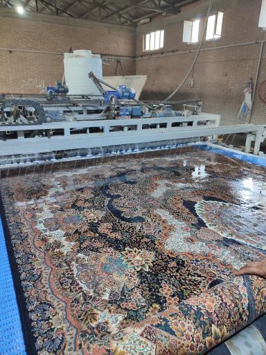 عکس قالیشویی پیشگام