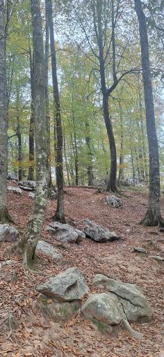 عکس شهرک توریستی نمک آبرود