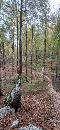 عکس شهرک توریستی نمک آبرود