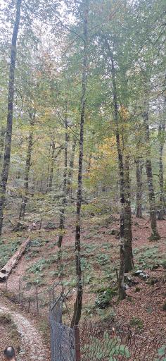 عکس شهرک توریستی نمک آبرود