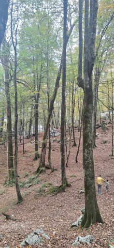 عکس شهرک توریستی نمک آبرود