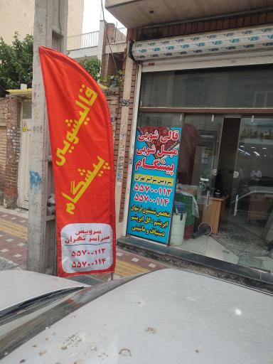 عکس قالیشویی پیشگام