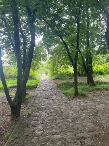 عکس شهرک توریستی نمک آبرود