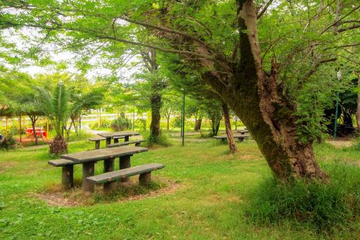 عکس شهرک توریستی نمک آبرود