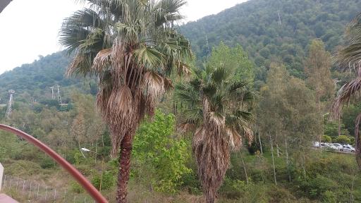 عکس شهرک توریستی نمک آبرود