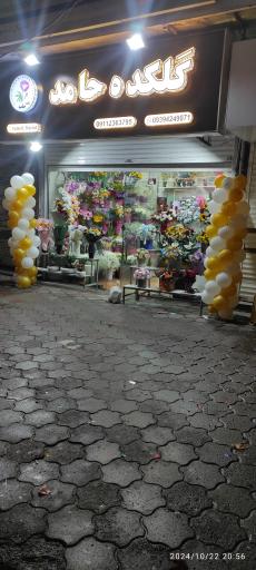 عکس گلکده حامد (شعبه دوم)