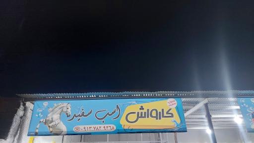 عکس کارواش اسب سفید