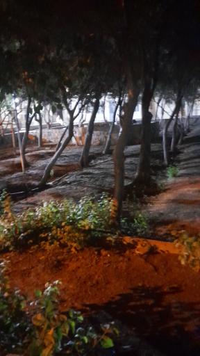 عکس مسجد حضرت ابوالفضل (ع)