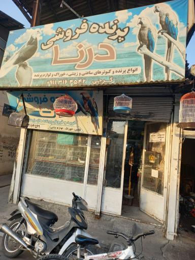 عکس پرنده فروشی درنا