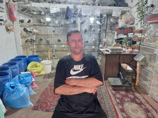 عکس پرنده فروشی درنا