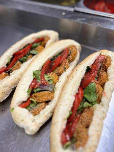 عکس فلافود مهران