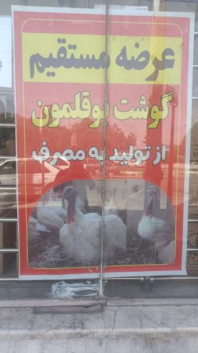 عکس فروش مرغ و پروتئین براتی