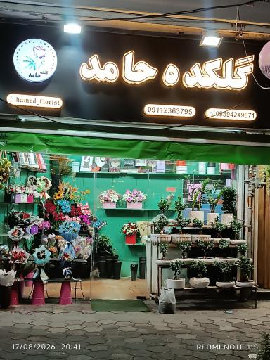عکس گلکده حامد (شعبه دوم)