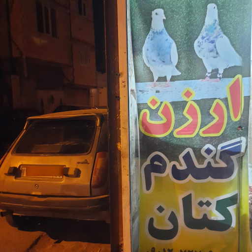 عکس پرنده فروشی