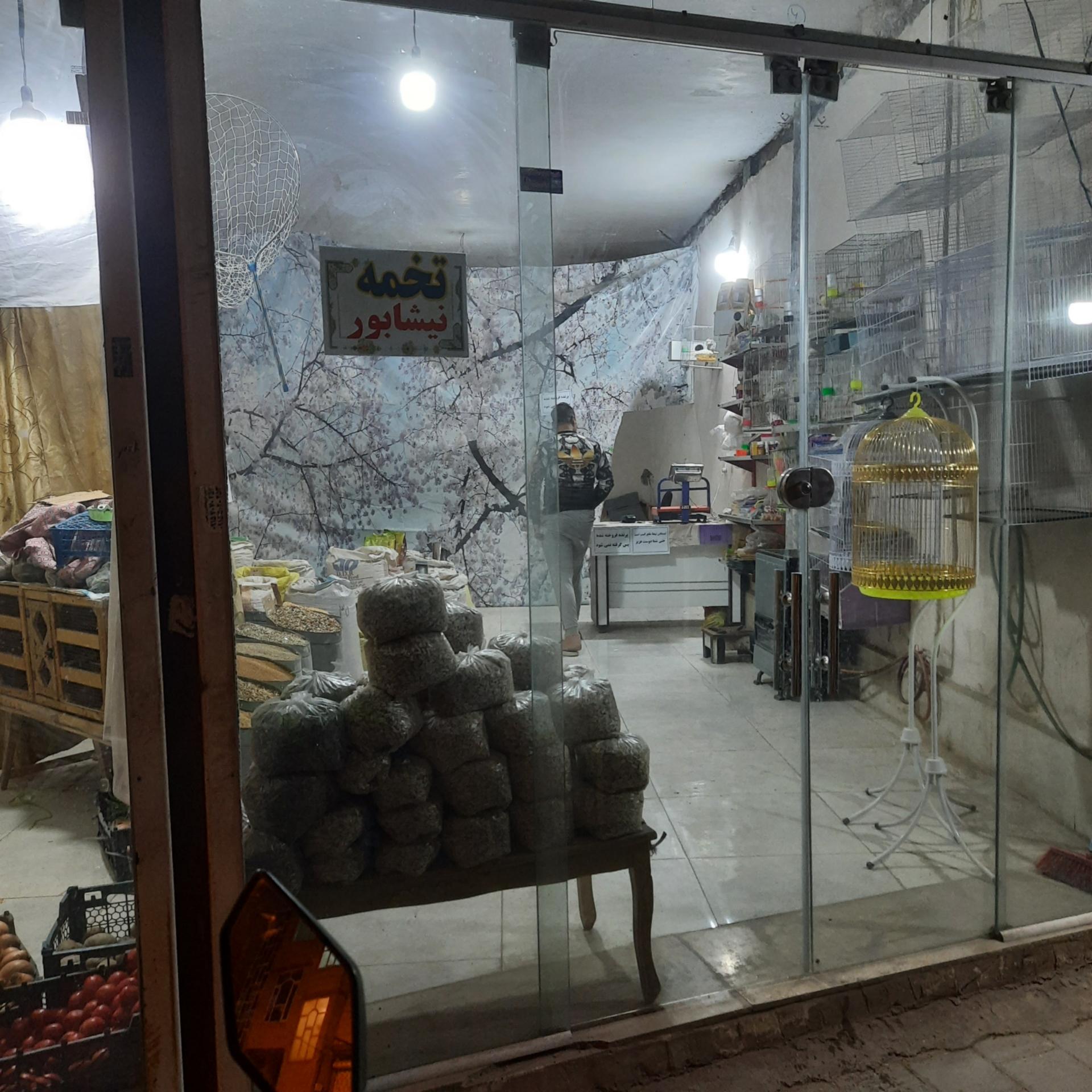 عکس پرنده فروشی