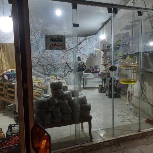 عکس پرنده فروشی