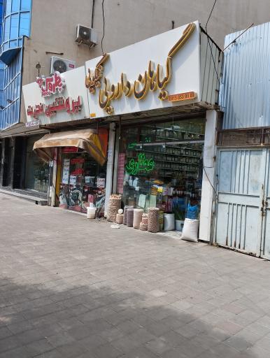 داروگیاهی نیکویی