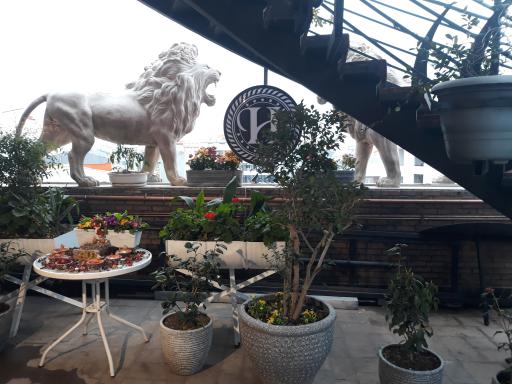 عکس کافه و بام  رستوران هیراد 