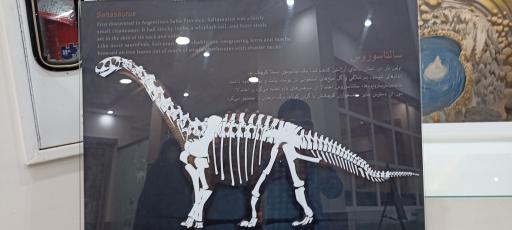 عکس پارک موزه علوم زمین مشهد
