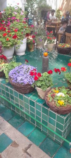 کافه عمارت نمکدان