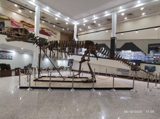 عکس پارک موزه علوم زمین مشهد