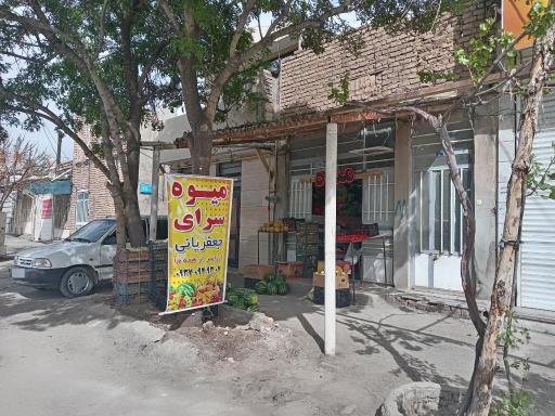 عکس میوه سرا جعفریانی 