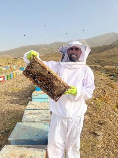 عکس عسل شهبازی