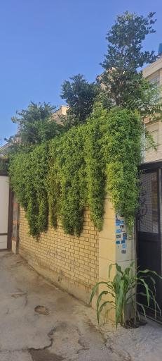 عکس هتل آپارتمان رویال