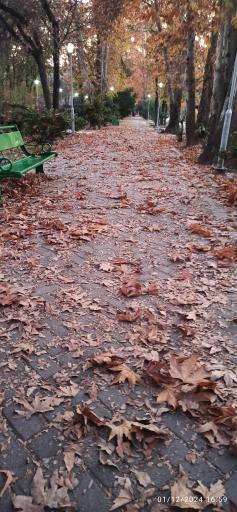 عکس بوستان پلیس