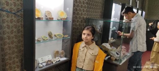 عکس موزه و گنجینه سنگ و شهاب سنگ یزد