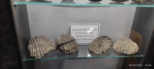 عکس موزه و گنجینه سنگ و شهاب سنگ یزد