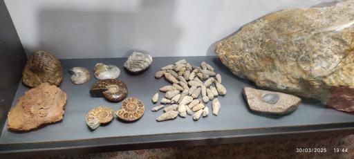 عکس موزه و گنجینه سنگ و شهاب سنگ یزد