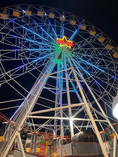 عکس بوستان پلیس