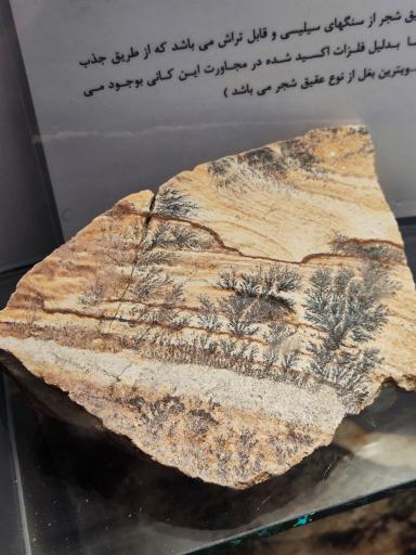 موزه و گنجینه سنگ و شهاب سنگ یزد