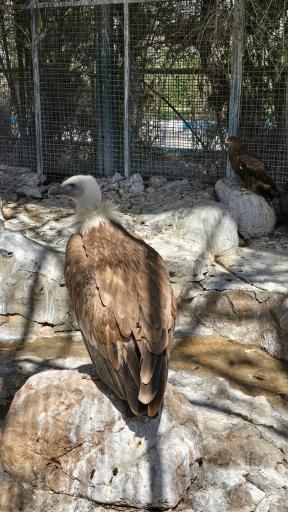 عکس ورودی باغ پرندگان