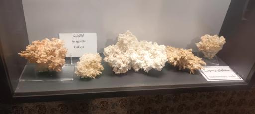 عکس موزه و گنجینه سنگ و شهاب سنگ یزد