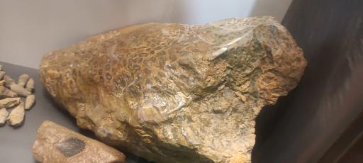 عکس موزه و گنجینه سنگ و شهاب سنگ یزد