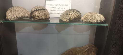 عکس موزه و گنجینه سنگ و شهاب سنگ یزد