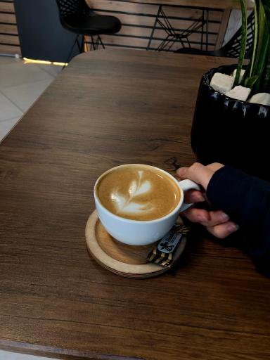 عکس کافه ۱۳